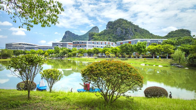 车载电子品牌盘点：揭秘十大品牌的技术实力与市场表现