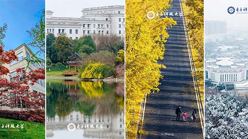 电子模块代工：揭秘优质代工企业的核心要素**