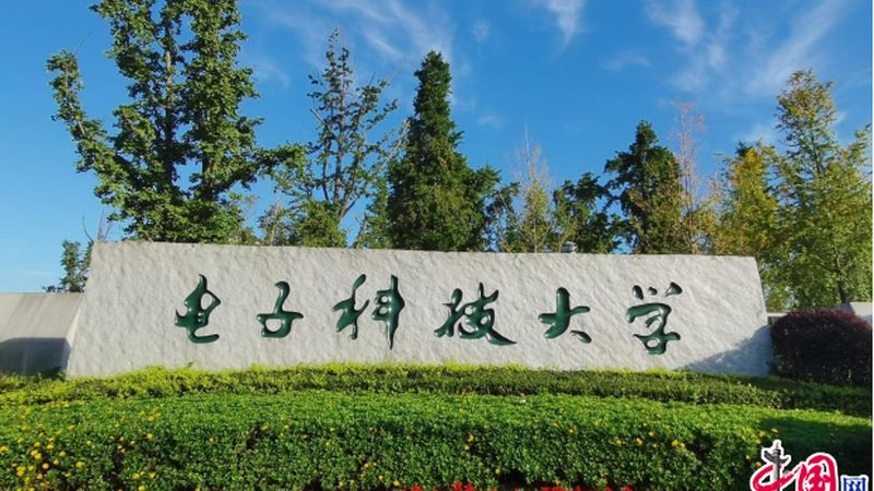 继电器采购报价单：如何准确填写，避免常见误区**